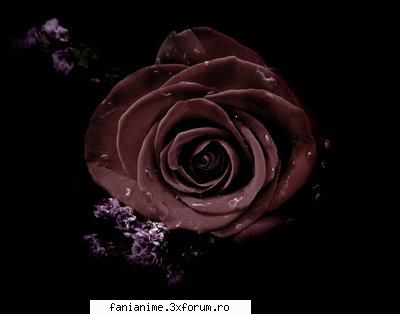 nope...nu iubesc pe mai presus de nu vreau sa 13 nu e ma dragoste