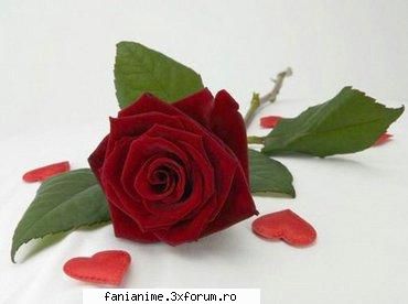 dragoste pey imi place baiat din cl.dar chiar mi-ar cere prietenia l-ash refuza deoarece momentan