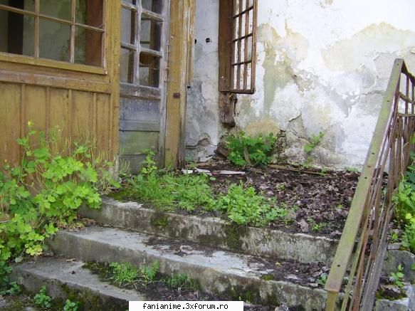 anunturi voi pleca bunici peste doua ore...o sa-mi fie dor voi...nu stiu cand intorc,dar atunci cand