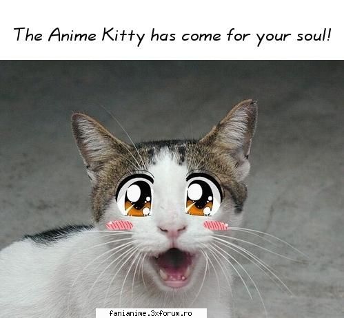 faceti acest moment? stau !!!     