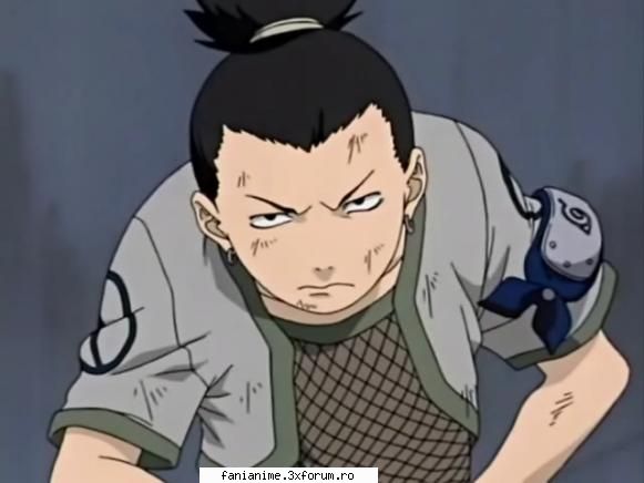 credeti despre shikamaru