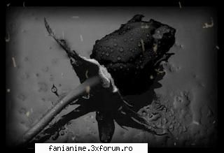 culoarea preferata negru siguranta negru