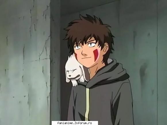 parere aveti despre kiba? kiba akamaru