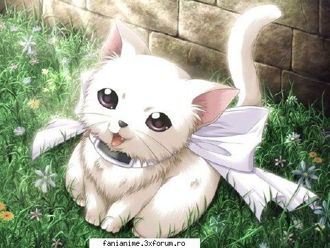 ohayoo salut toti sunt noua ani sunt din mult animeurile vrea sa-mi fac intrebati