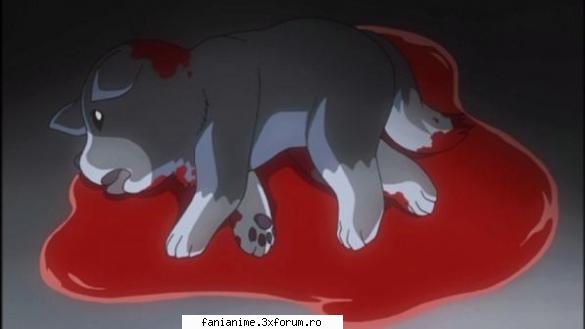 webnovela catelul ei: