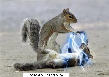 haku r.i.p asta animeul. numai personajul restul mor     