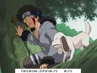 Ce parere aveti despre Kiba? - E asha de sweety kiba deci mumos raw ji catelushu - Naruto