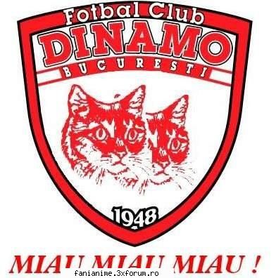 Echipa preferata de fotbal - nu ma prea ma uit la fotbal, dar pun o poza - *Despre noi*