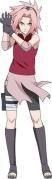 club sakura haruno - hulpitza - Cluburi